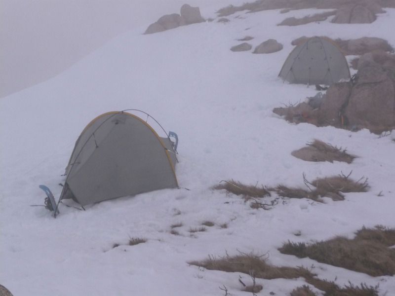 Bushwalk Australia • View topic Tarptent Moment DW vs Scarp 1